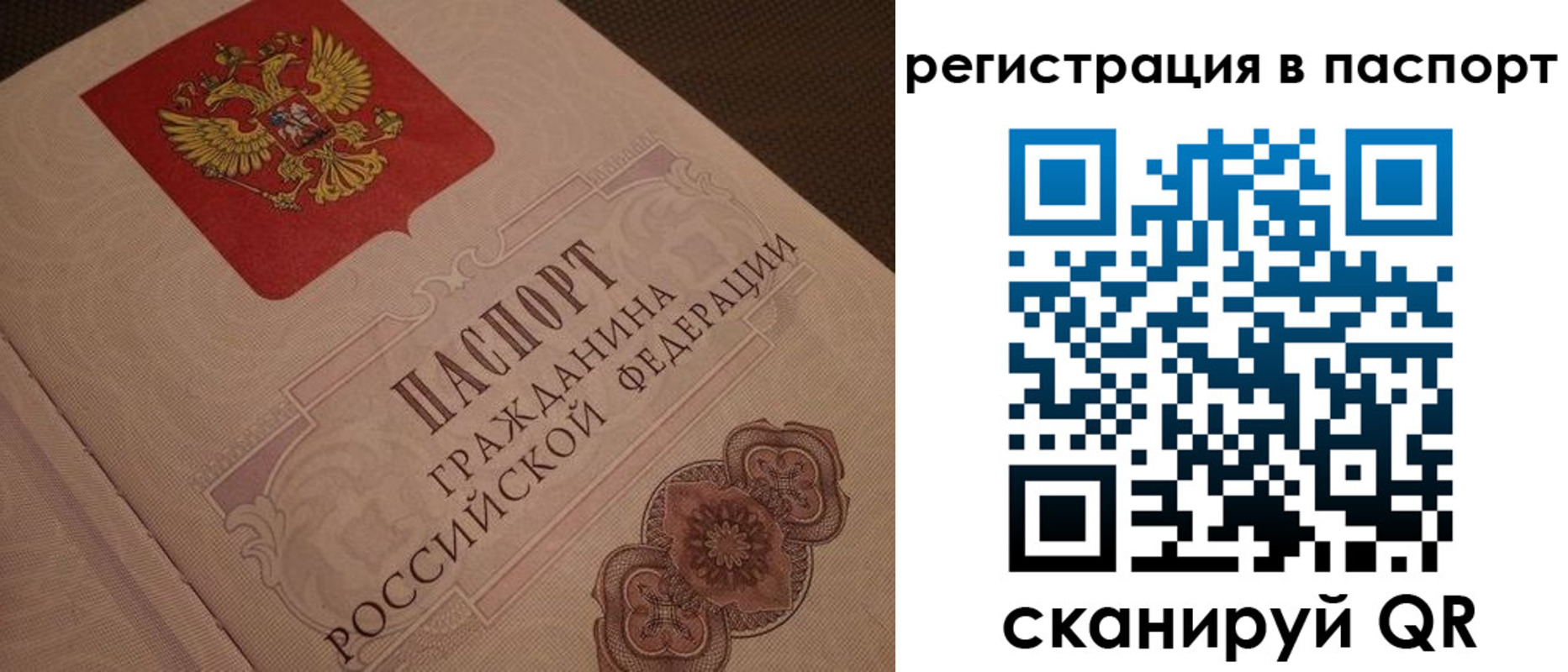 временная регистрация надежно в Камбарке